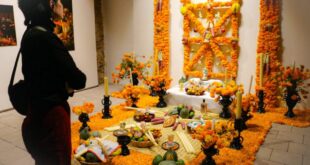 Altar de muertos de Michoacán en el Museo Pedro Coronel, decorado con flores y velas, representa la tradición de la ribera del lago de Pátzcuaro.