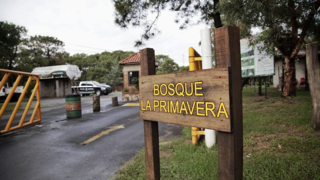 Bosque La Primavera vacaciones seguras