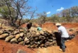 Actividades de reforestación y restauración en el Área Natural Protegida Cerro del Águila en Michoacán.