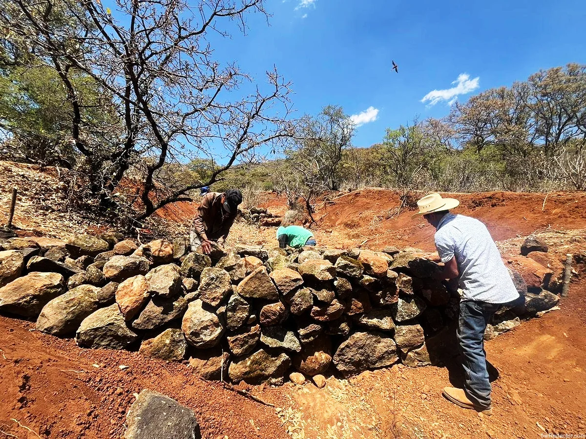 Actividades de reforestación y restauración en el Área Natural Protegida Cerro del Águila en Michoacán.