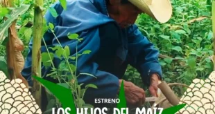 Imagen de la miniserie "Los hijos del maíz" de Canal 22, mostrando escenas de campesinos y la cultura del maíz en México.