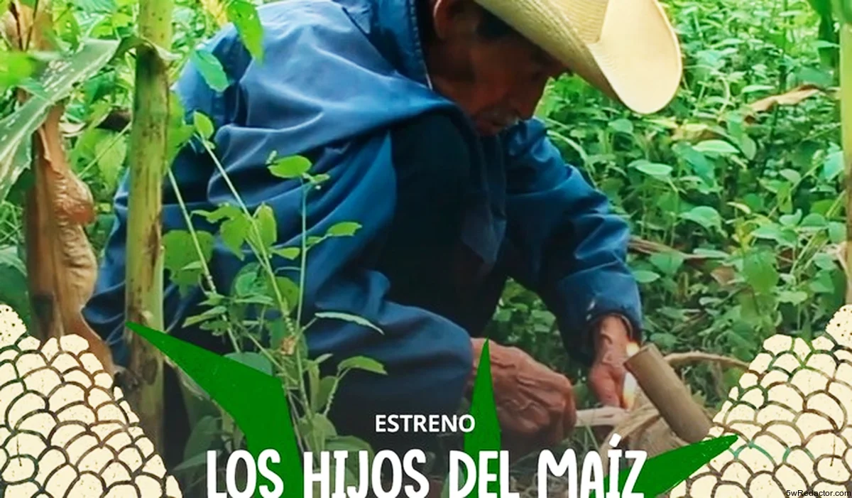 Imagen de la miniserie "Los hijos del maíz" de Canal 22, mostrando escenas de campesinos y la cultura del maíz en México.