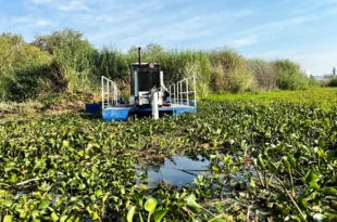 Trabajos de limpieza en el manantial de La Mintzita con maquinaria acuática multifuncional en Michoacán
