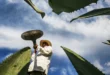 Cultivo de agave azul en Jalisco, listo para la producción tequilera.