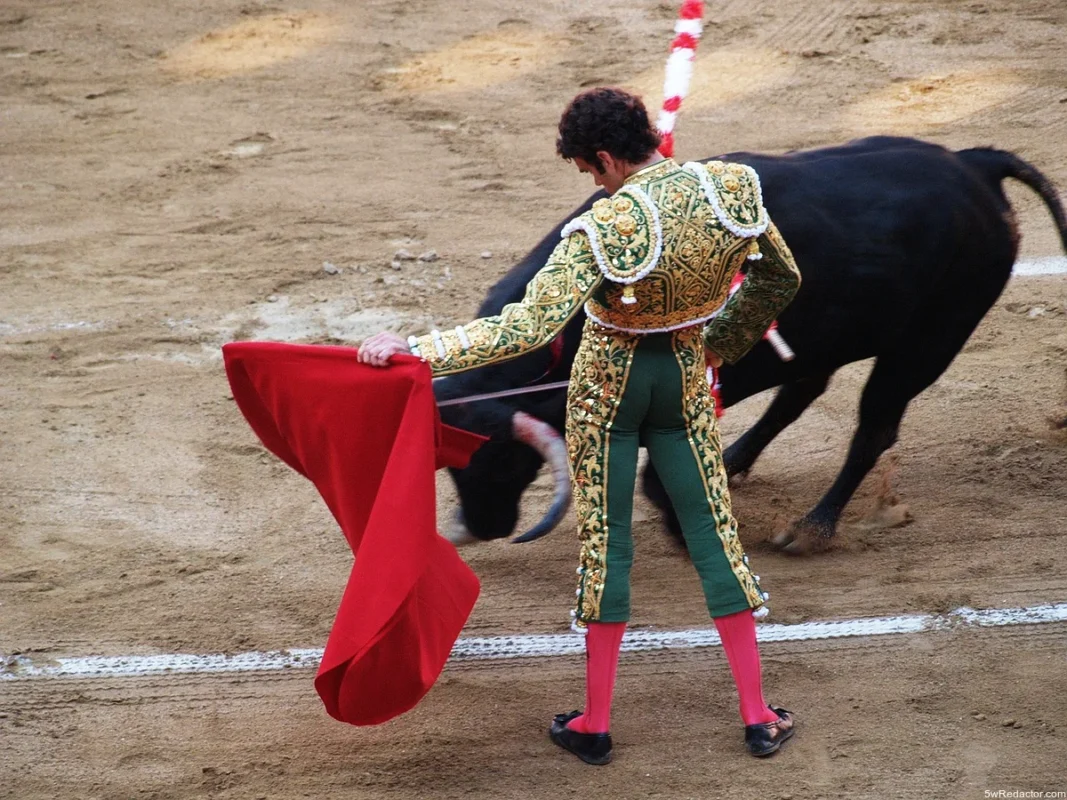 Foto de Jose Tomas por Paco Nieto