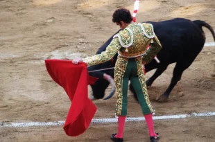 Foto de Jose Tomas por Paco Nieto