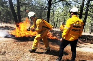 incendio forestal