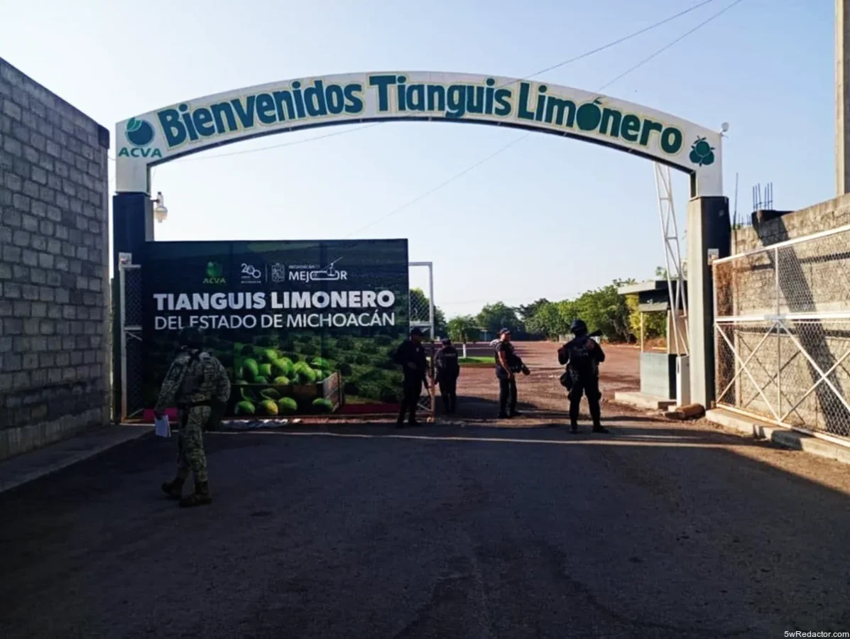 abasto de limón michoacano