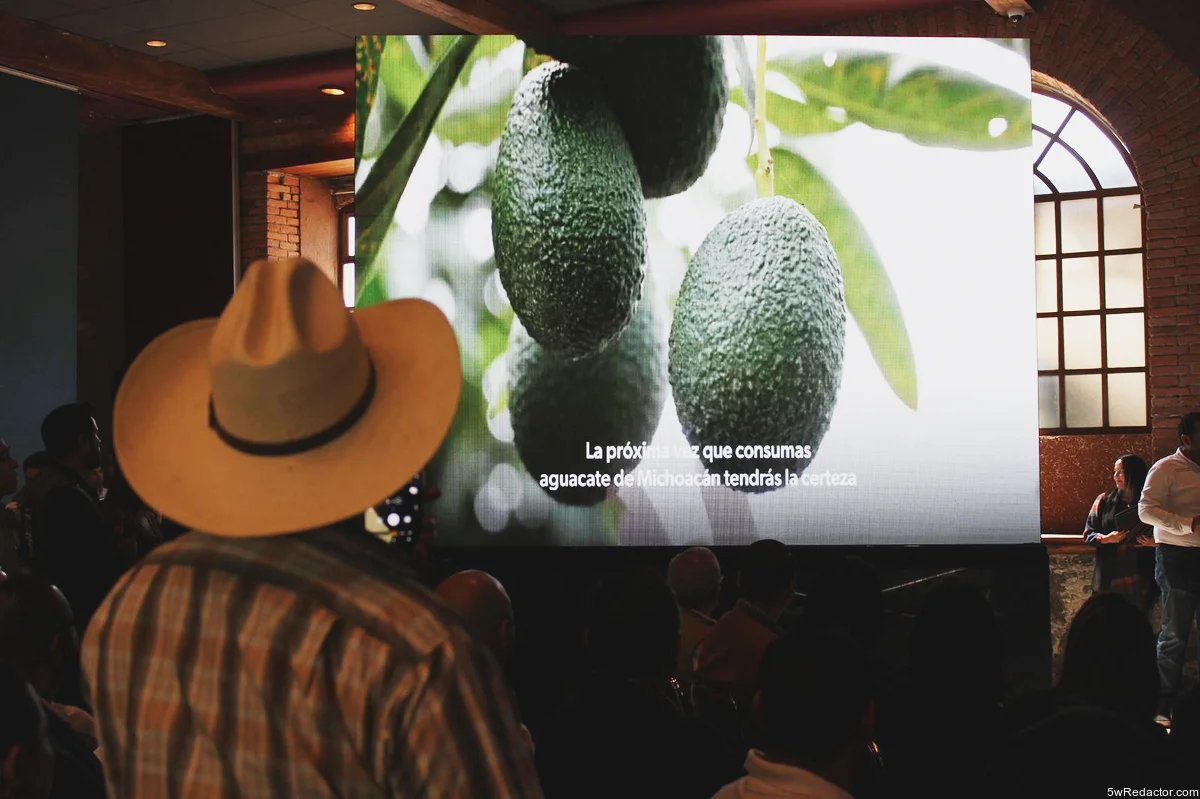 aguacate michoacano libre de deforestación
