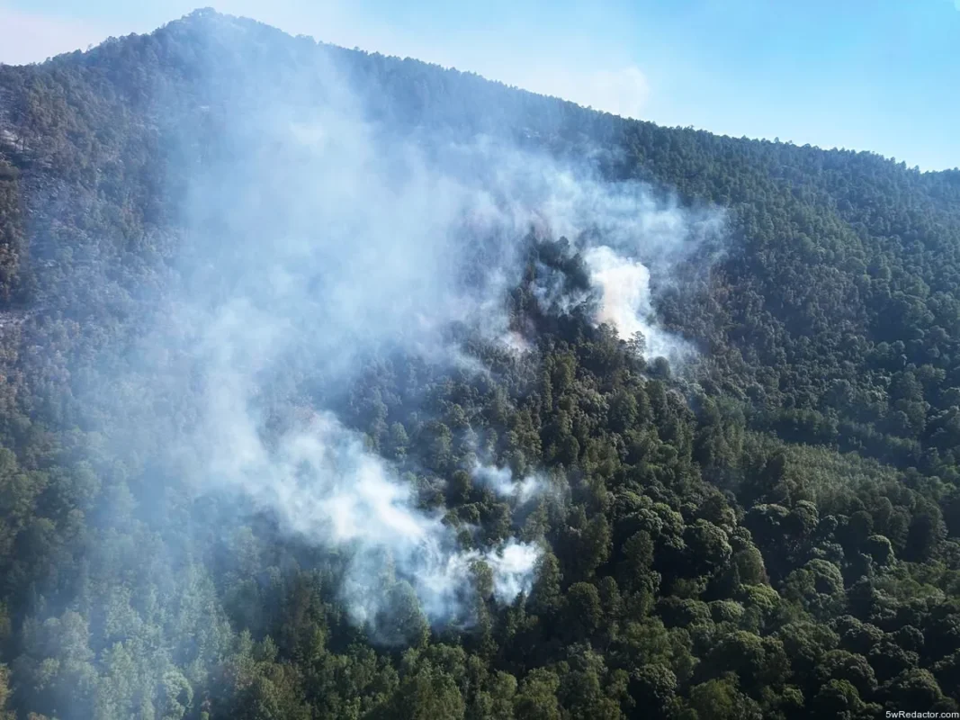 incendio forestal en el Santuario de la Mariposa Monarca