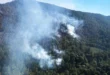 incendio forestal en el Santuario de la Mariposa Monarca