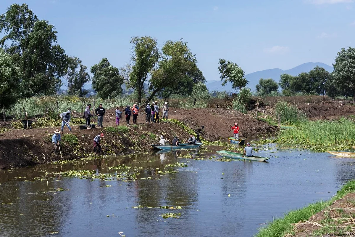 recuperación canal Erongarícuaro