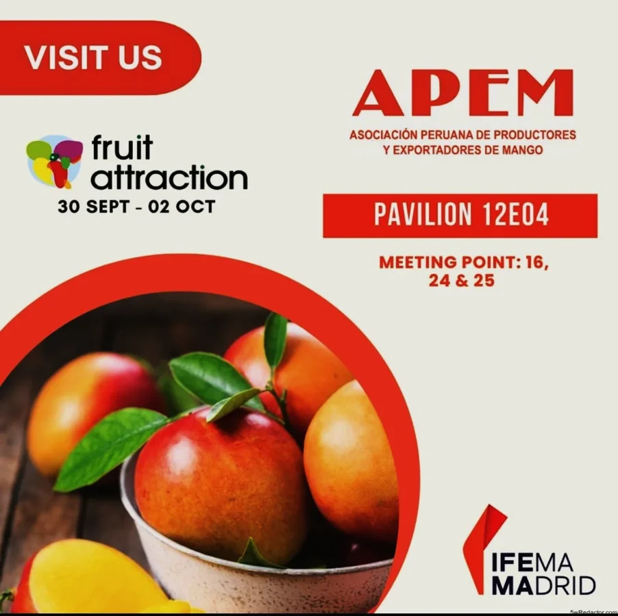 Los mangos peruanos destacan en Fruit Attraction 2025 por su calidad y seguridad alimentaria