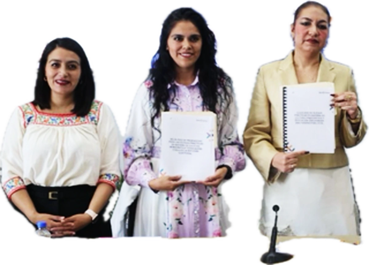 educación cívica en la Reforma Electoral