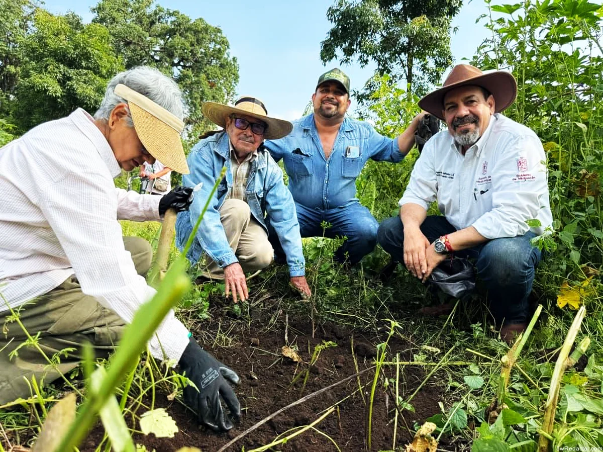 Michoacán impulsa la preservación del zapote prieto