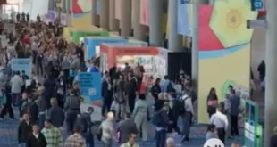 Industria mango IFPA 2025