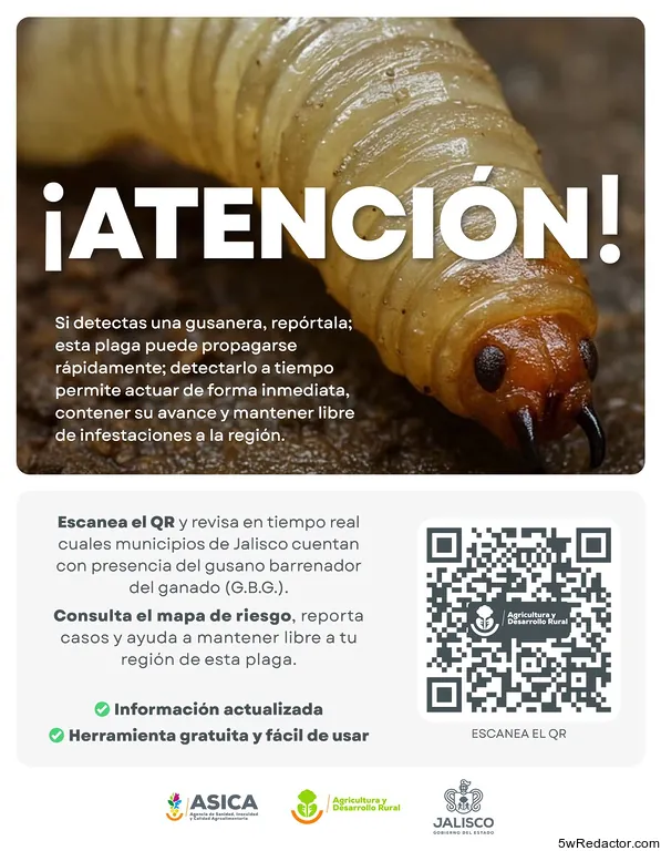 Gusano barrenador ganado Jalisco