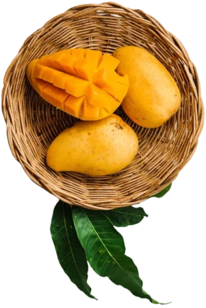 Mangos en canasta