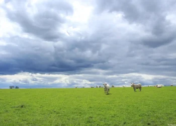 balance agrario 2025 Murcia