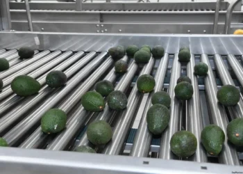 liderazgo agroexportador Michoacán