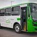 Nuevos autobuses Uruapan