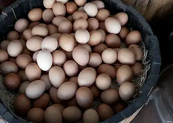 Huevos frescos de diferentes tonos en cesta de madera.