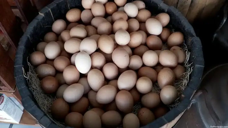 Huevos frescos de diferentes tonos en cesta de madera.