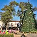 Árbol de Navidad decorado en un parque central, con edificios históricos y cielo azul de fondo.