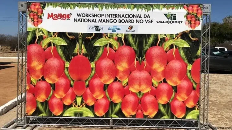 Petrolina Capital Mundial Mangos