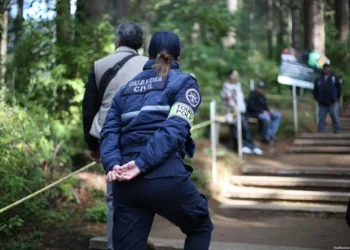 Santuarios de la Mariposa Monarca Michoacán seguridad