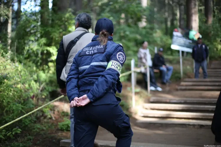 Santuarios de la Mariposa Monarca Michoacán seguridad