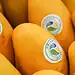 Mangos orgánicos de México con sello ecológico y certificación de origen.